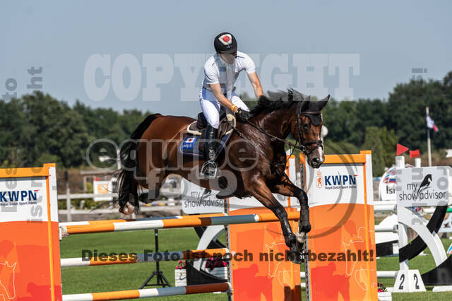 Kronenberg - De Peelbergen (August 2020)