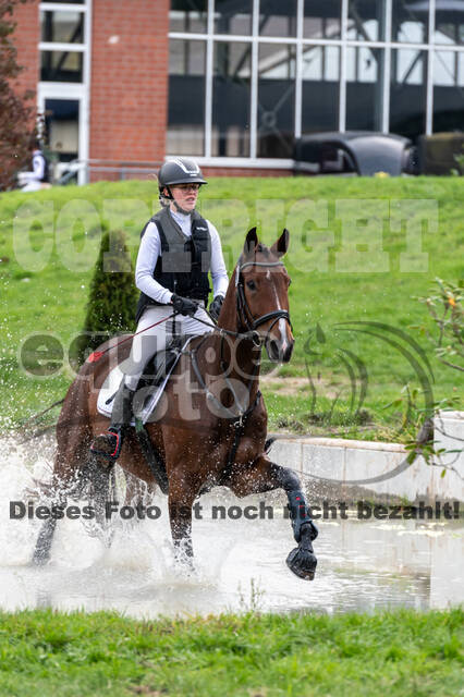 Goldene Schärpe 2020 - Pferde