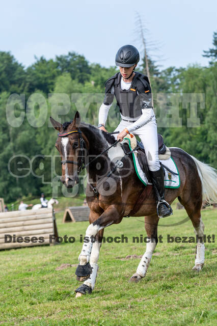 Goldene Schärpe 2021 - Ponys