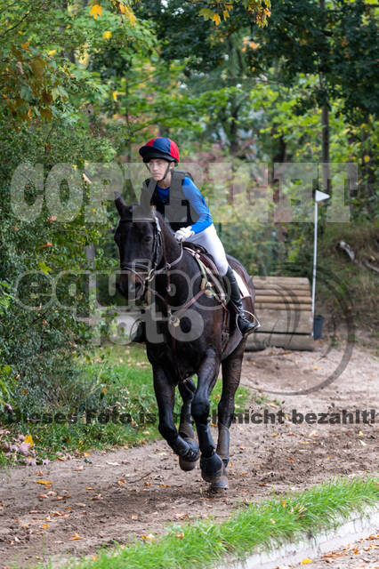 Goldene Schärpe 2020 - Pferde