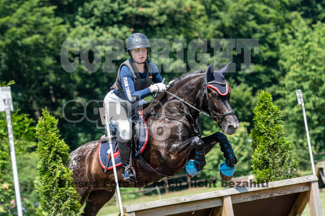 Goldene Schärpe 2021 - Ponys