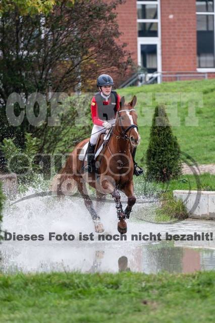 Goldene Schärpe 2020 - Pferde