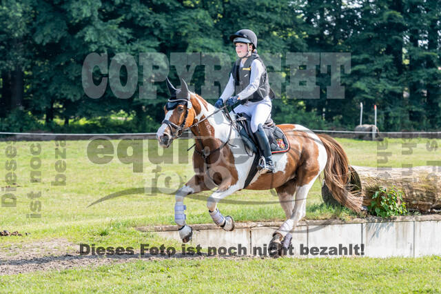 Goldene Schärpe 2021 - Ponys