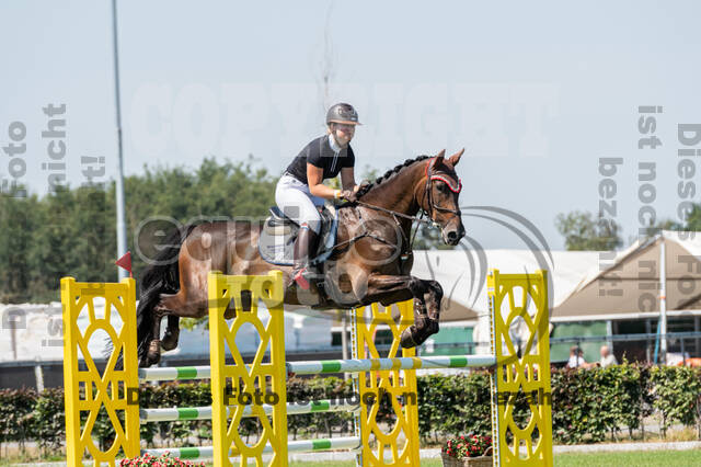 Kronenberg - De Peelbergen (August 2020)