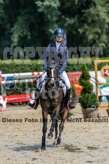 Goldene Schärpe 2021 - Ponys
