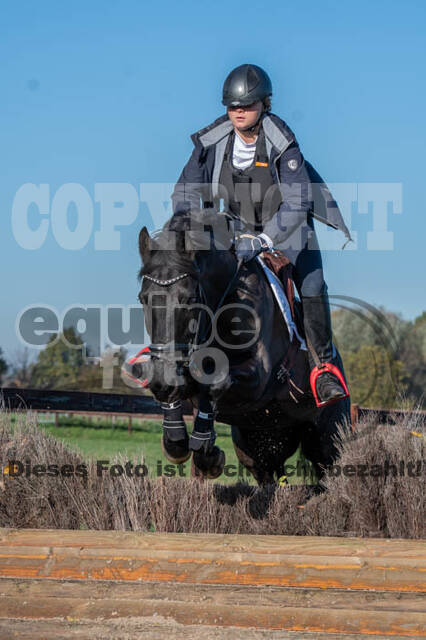 Vielseitigkeitslehrgang mit Jürg Kurbel (9.+10.11.2019)