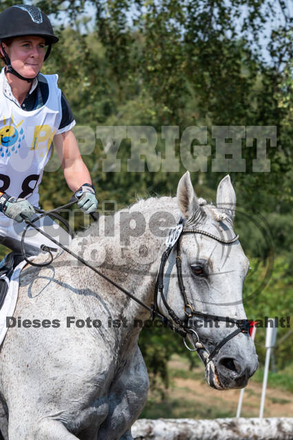 Late-Entry Vielseitigkeit Hamminkeln/Wesel (01.+02.08.2020)