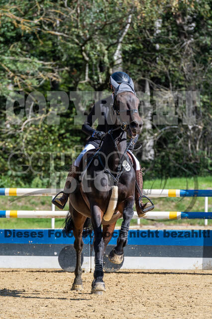 RFV Dinslaken-Hiesfeld (Herbstturnier)