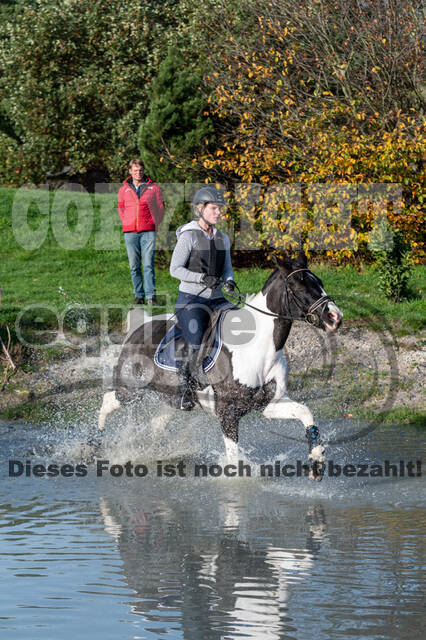 IGV Lehrgang der Sieger der Cups mit Frank Ostholt