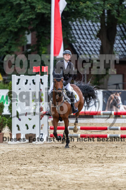 Goldene Schärpe 2021 - Ponys