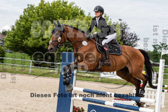 Late-Entry-Vielseitigkeit Langenfeld (06.+07.07.2020)