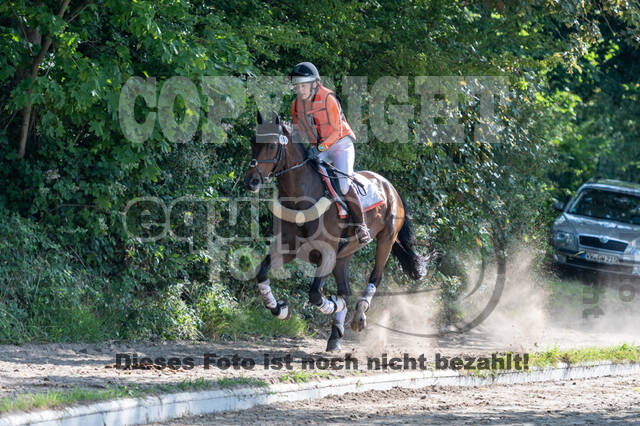 Late-Entry-Vielseitigkeit Langenfeld (11.+13./14.06.2020)