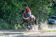 Late-Entry-Vielseitigkeit Langenfeld (11.+13./14.06.2020)
