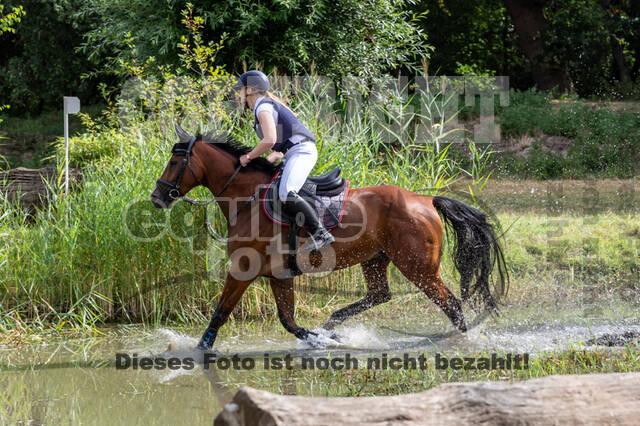 Late-Entry Vielseitigkeit Hamminkeln/Wesel (01.+02.08.2020)