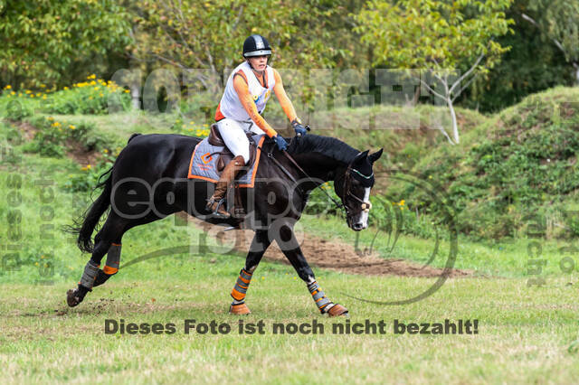 Vielseitigkeit RSV Wesel Obrighoven (26.+27.09.2020)