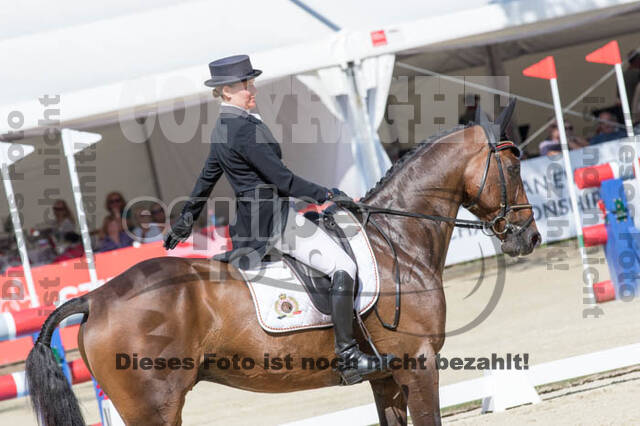 FEI European Championship Eventing 2017