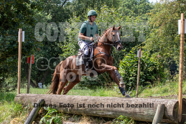 Late-Entry-Vielseitigkeit Gahlen (18.07.2020)