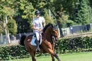Kronenberg - De Peelbergen (August 2020)