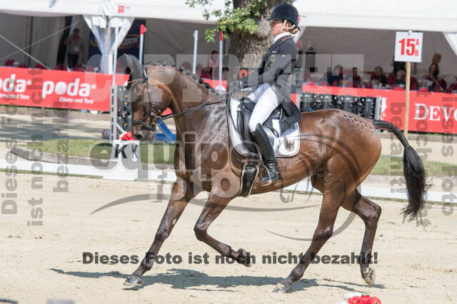 FEI European Championship Eventing 2017