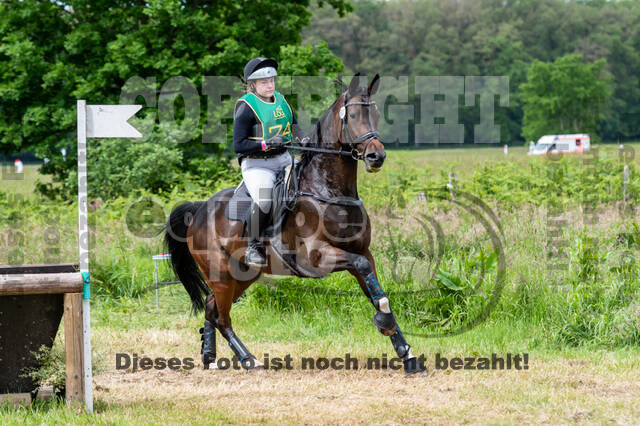 Westerstede Horse Trials (10.-13.06.2021)