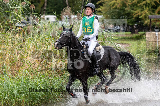 Vielseitigkeit RSV Wesel Obrighoven (26.+27.09.2020)