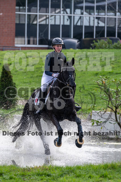 Goldene Schärpe 2020 - Pferde