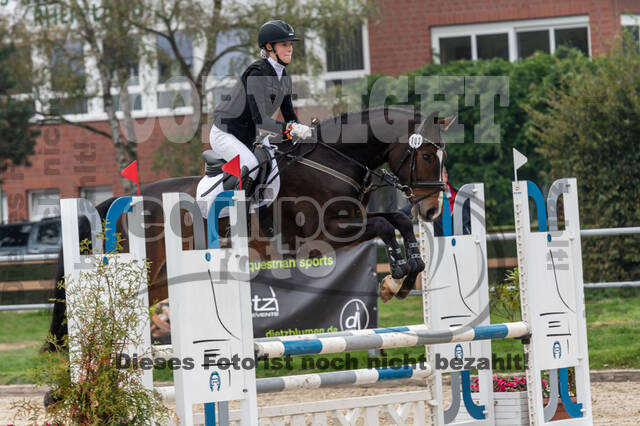 Goldene Schärpe 2020 - Pferde