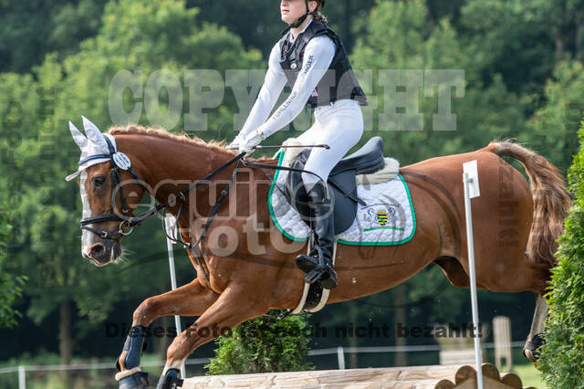 Goldene Schärpe 2021 - Ponys