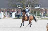 Eventing Langenfeld 2018