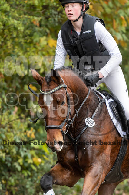 Goldene Schärpe 2020 - Pferde