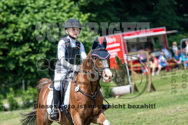 Goldene Schärpe 2021 - Ponys