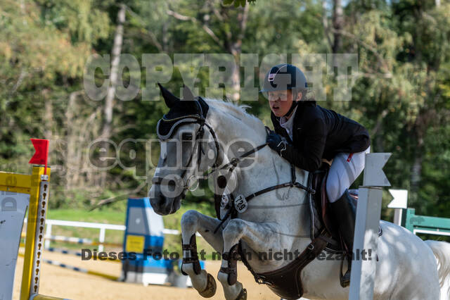 RFV Dinslaken-Hiesfeld (Herbstturnier)