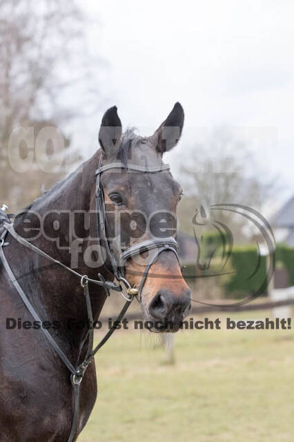 Geländetraining RSV St. Hubertus Wesel Obrighoven