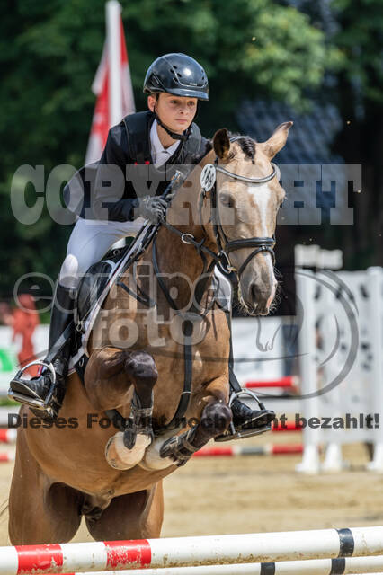 Goldene Schärpe 2021 - Ponys