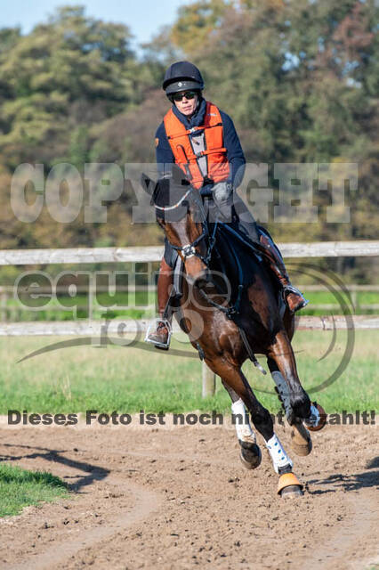 Vielseitigkeitslehrgang mit Jürg Kurbel (9.+10.11.2019)