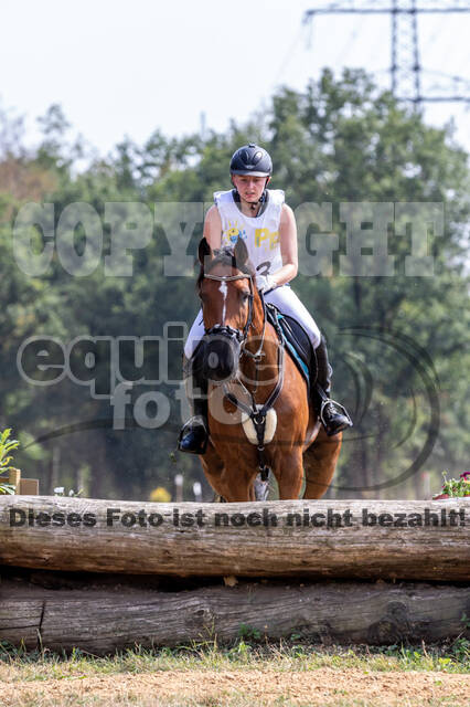 Late-Entry Vielseitigkeit Hamminkeln/Wesel (01.+02.08.2020)