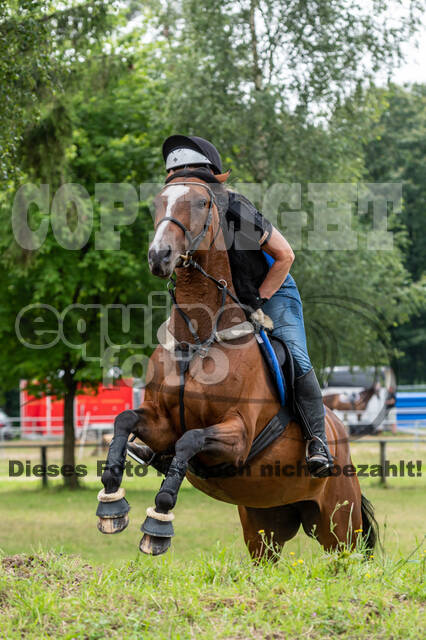 Hunter Geländetraining 10.07.2021 (Sonsbeck)