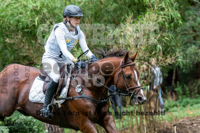 Vielseitigkeit RSV Wesel Obrighoven (26.+27.09.2020)