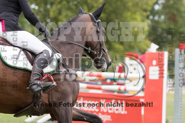 IGV Kleve