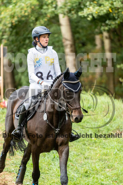 Vielseitigkeit RSV Wesel Obrighoven (26.+27.09.2020)