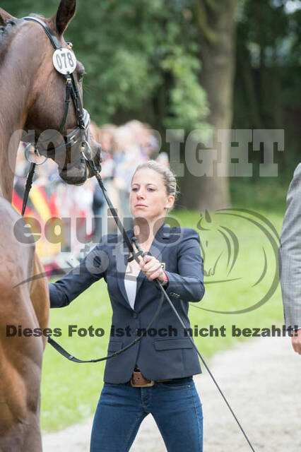 FEI European Championship Eventing 2017