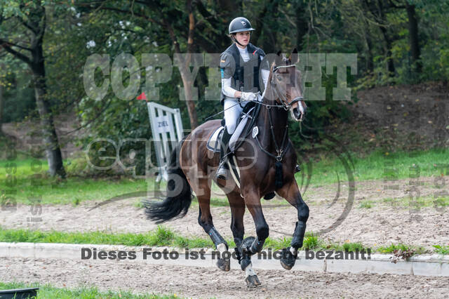 Goldene Schärpe 2020 - Pferde