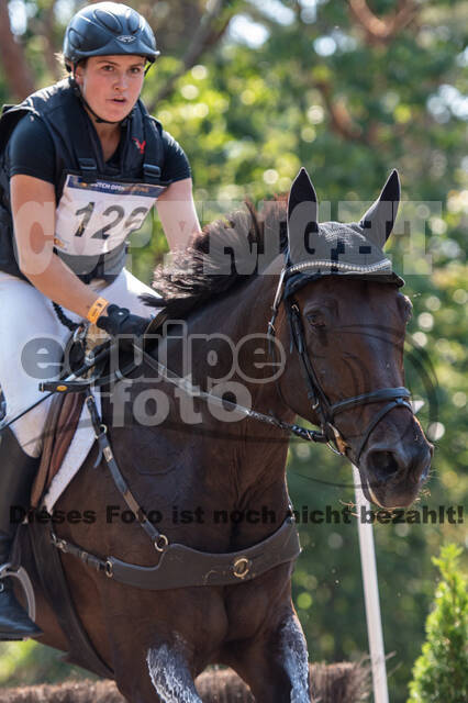 De Peelbergen (August 2020)