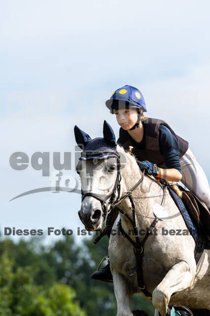 Goldene Schärpe 2021 - Ponys