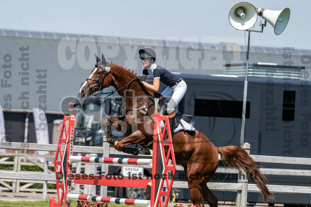 Kronenberg - De Peelbergen (August 2020)