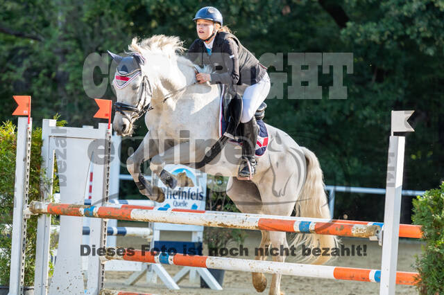 RFV Dinslaken-Hiesfeld (Herbstturnier)