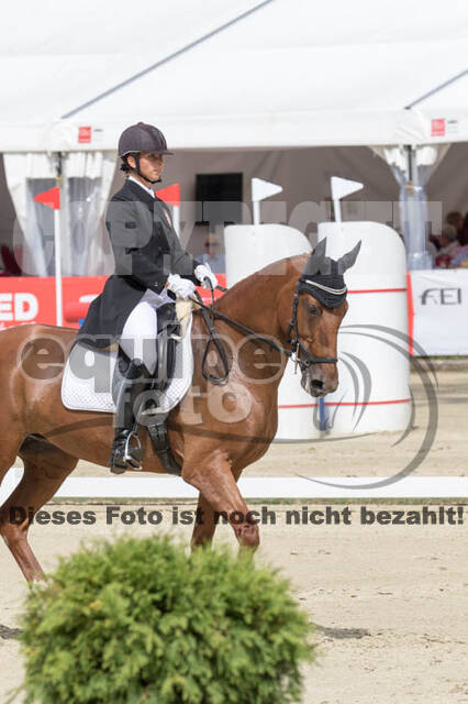 FEI European Championship Eventing 2017