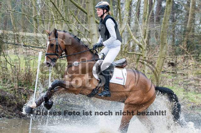 Jungpferdetag Hamminkeln