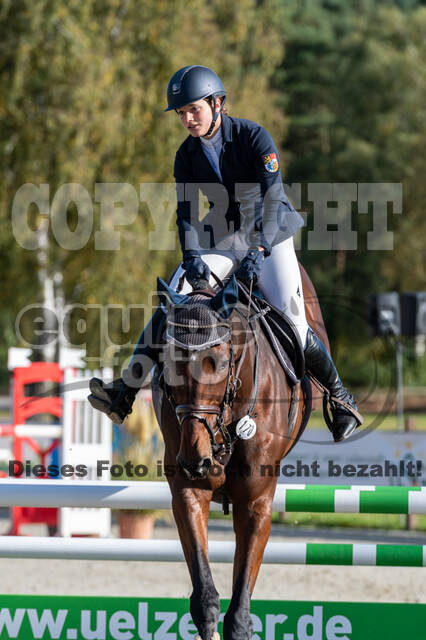 Deutsche Meisterschaft Vielseitigkeit (Luhmühlen)