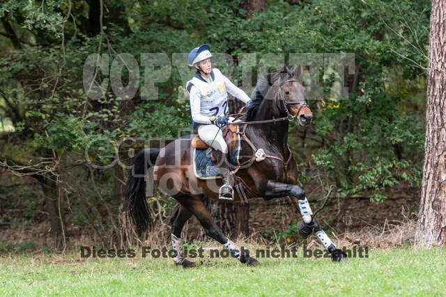 Vielseitigkeit RSV Wesel Obrighoven (26.+27.09.2020)